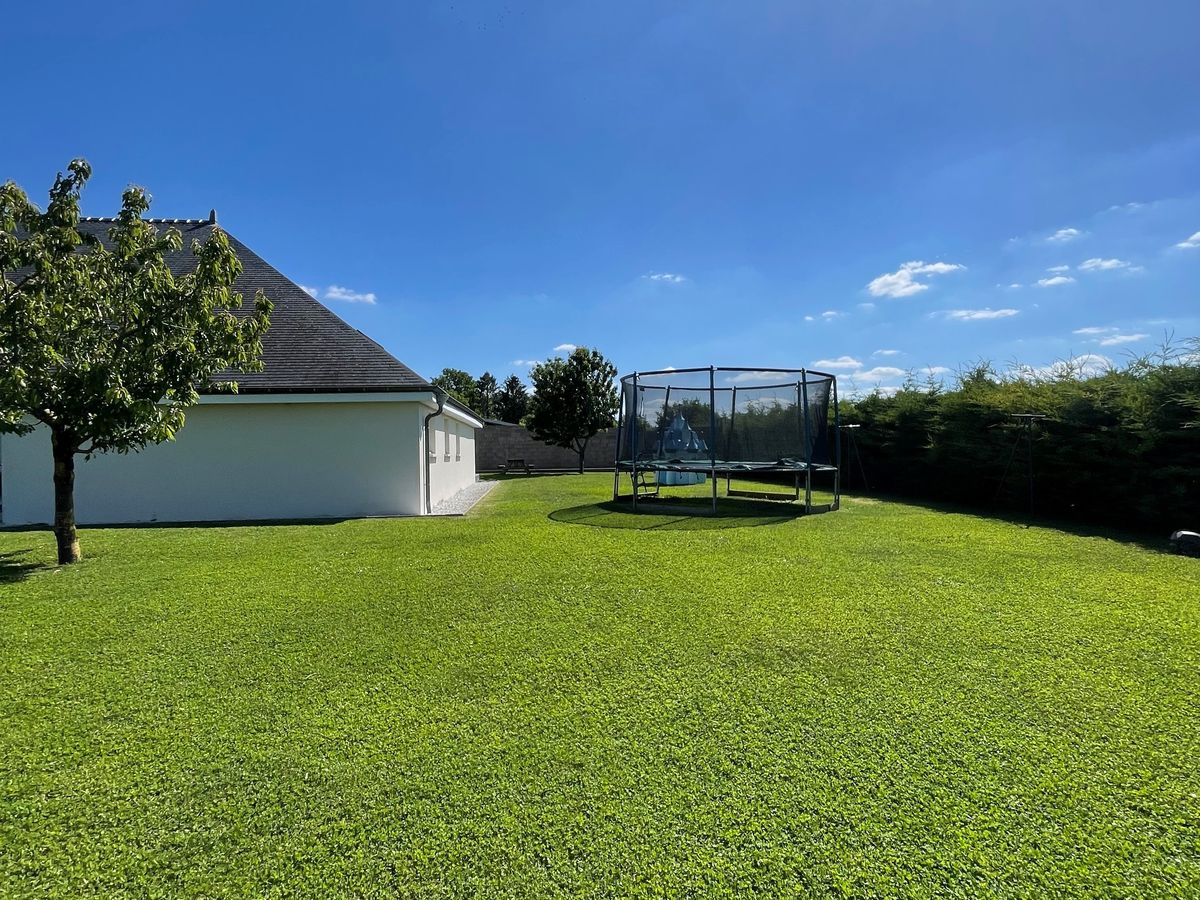Le jardin et le trampoline